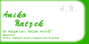 aniko matzek business card